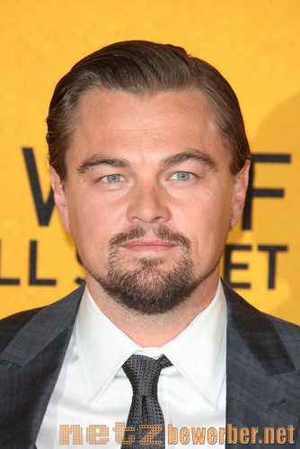 Leo DiCaprio: Henriquarte